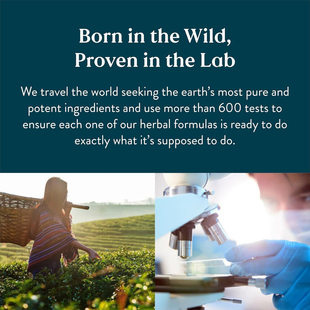 Health Care Products Lymph Health Drops